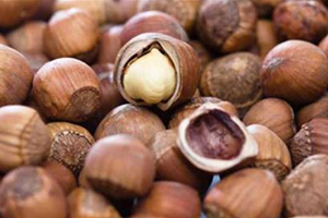 Fındık Fiyatları Artacak Mı