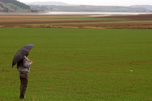 Son Yağmurlar Çiftçinin Can Suyu Oldu