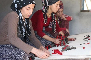 Köyün Bacasız Fabrikaları