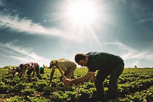 Şekerbank Tarımsal EKO Kredi