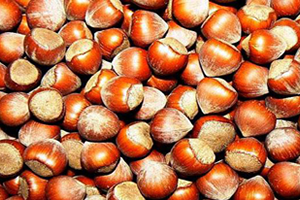 Pazara 204 Bin Ton Fındık İndi