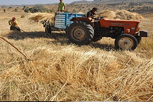 Çiftçi ve Hayvancılara 1 Milyar Avro Destek