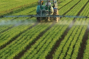 İki Ürün Daha Destek Kapsamına Alındı