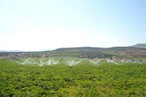 Ziraat Bankası Modern Basınçlı Sulama Sistemleri Kredileri