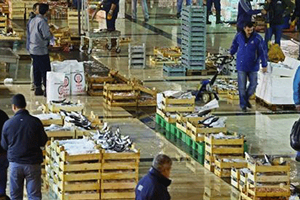 Tam 400 Ton Fiyatlar Düşecek