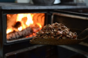 Fındığın İçi De Dışı Da Isıtıyor