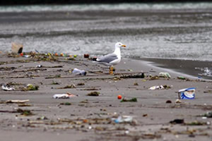 Dünya Çevre Performansı Endeksi nde Sınıfta Kaldık