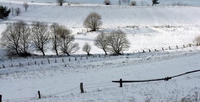 Kar Yağışı Çiftçinin Yüzünü Güldürdü