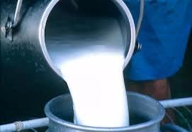 Çiğ Süt Destekleme Tebliği Yayınlandı