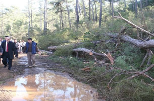 Ağaç Kesimi Köylüyü Ayağa Kaldırdı