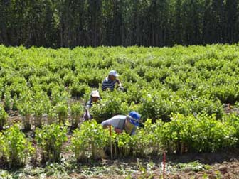 Tarıma Bölgesel Üretim Desteği Geliyor