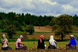 Tarımda Kadın Girişimciliğinin Güçlendirilmesi Programı