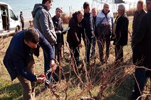 Kırsal Kalkınma Eğitimleri Devam Ediyor