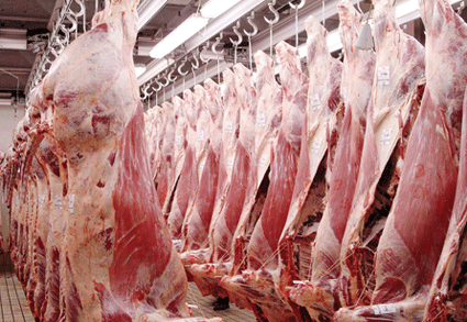 Bosna Hersek ten Et İthalatında Yeni Gelişme