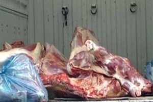 Kayseri de 2 Ton Kaçak Et Yakalandı