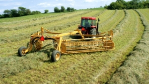 Çiftçi Destek Ödemeleri Ne Zaman