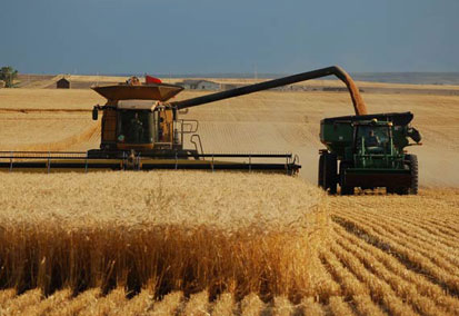 Maliye Çiftçiye Hazine Arazisi Satacak
