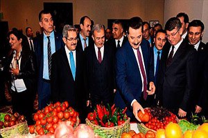 Çelik Bindiğimiz Dalı Kesmeyelim