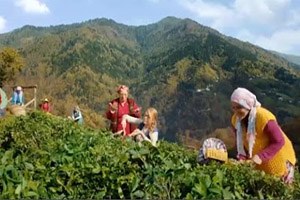 Karadenizli Çiftçi Kadınlara Fransa dan Destek