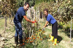 Avukatlık Pilotluk Yaparken İşi Bıraktılar Şimdi Çiftçi Oldular