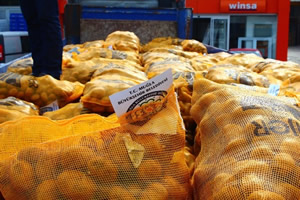 Büyükşehir Üreticilere 130 Ton Patates Tohumu Dağıttı