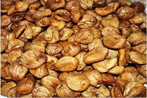 İncir Üreticileri Yeni Sezondan Umutlu