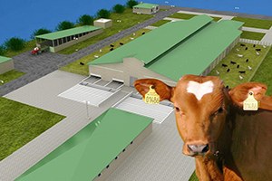 Suluova Tarıma Dayalı İhtisas Besi Organize Sanayi Bölgesi Faaliyetleri