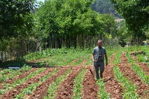 Bilecik te Organik İyi Tarım ve Gıda Hijyen Eğitimi