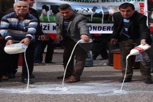 Balıkesir de Süt Eylemi