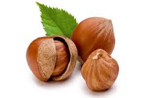 Fındıktaki Fiyat Tartışmaları