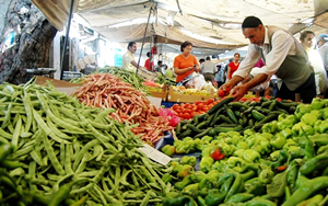 TÜİK Ocak Ayı Tarım Ürünleri ÜFE Verilerini Açıkladı