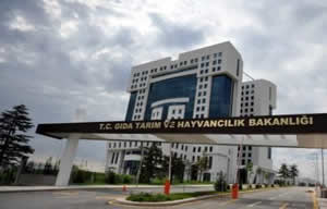 TARMEG de Ceylan Soyadı İddiası