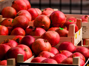 Sultanhisar Narı Dış Pazar Yolcusu