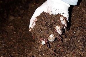 Gözle Görülmüyor Ancak Çok Para Kazandırıyor