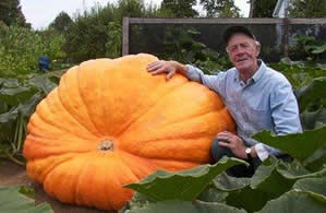 Bir Meyve En Fazla Ne Kadar Büyür