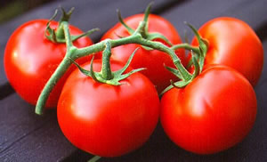 Azerbaycan Türkiye de Üretilen Domatesleri Rusya ya İhraç Ediyor Olabilir