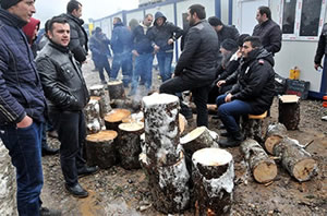 Artvin de Ağaç Kesimi Endişesi Devam Ediyor