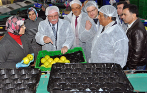 Elmada Yeni Hedef Ortadoğu Ülkeleri