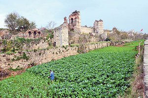 Dünyayı Yedikule Bostanları Kurtaracak