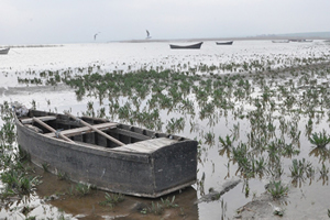 Manyas Kuş Cenneti İçin Tehlike Çanları Çalıyor