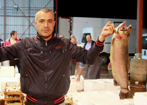 Soğuk ve Fırtına Balık Fiyatlarına Tavan Yaptırdı