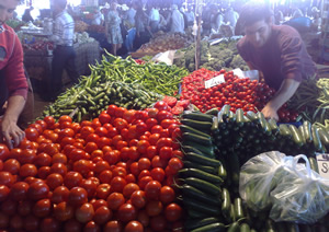 Çiftçi Esir Olmaktan Kurtarılmalıdır