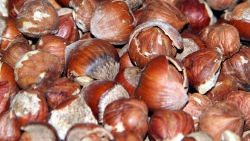 Fındığı Bu Fiyata Satmayın Uyarısı