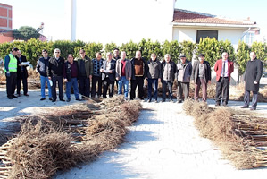 Fidan Desteği Devam Ediyor