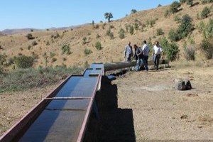 Ağrı lı Çiftçiye Sıvat Ve Hayvan Gölgeliği Desteği