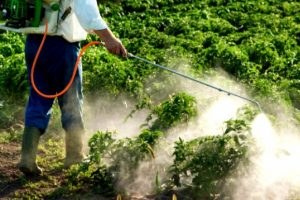 Bilecik te Pestisit Denetimi