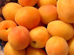 Malatya Ticaret Borsası Kayısıyla İlgili Rapor Sundu