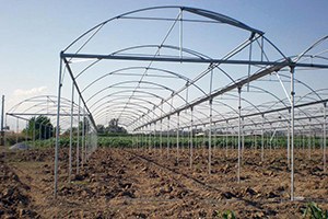 Çukurca da Seralar Vatandaşların Geçim Kaynağı Oldu