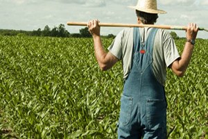 Sinop ta Çiftçiler Bilgilendirildi