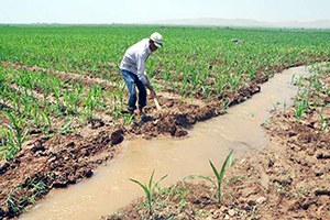 Tarımda 457 Milyon TL Gelir Artışı